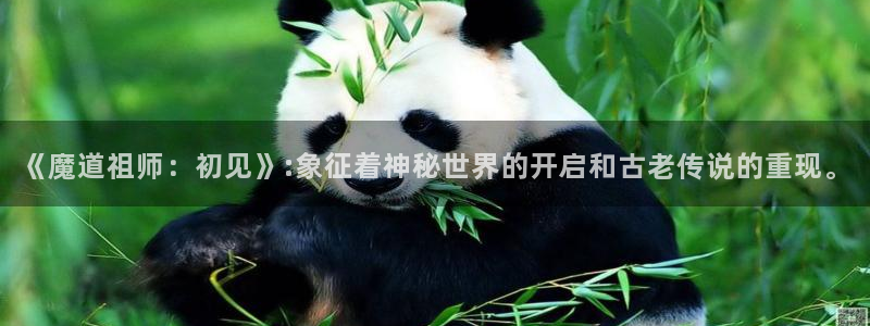 age动漫下载网：《魔道祖师：初见》:象征着神秘世界的开启和古老传说的重现。