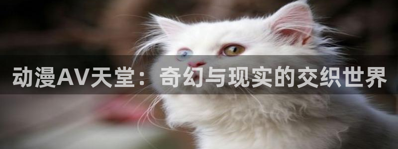 age动漫下载动漫全免费