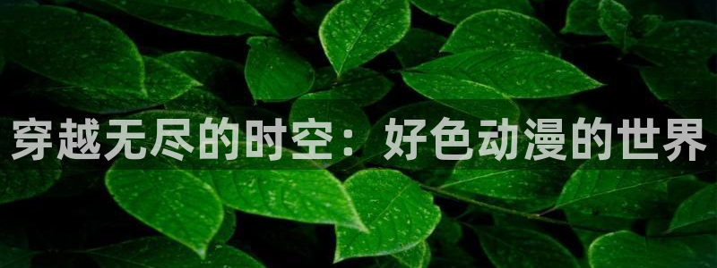 age动漫下载入口