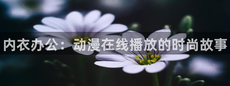 age动漫下载网