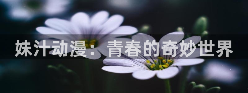 在线动画动漫下载age动漫