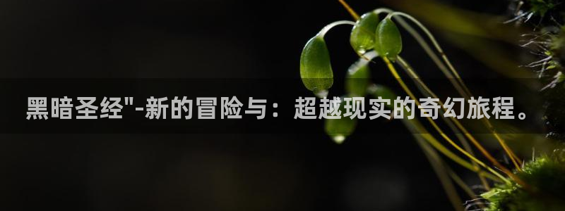 age动漫网上看