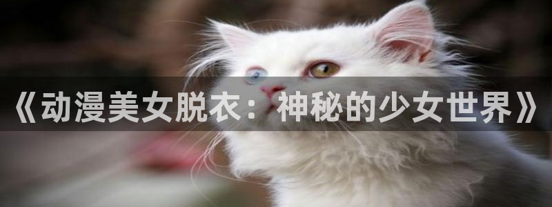 age动漫下载网