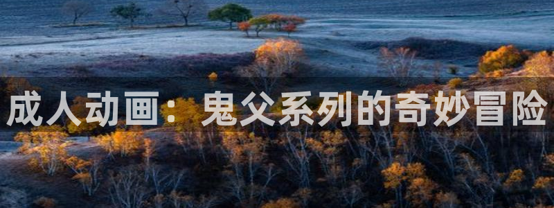拷贝漫画 copymanager.ory网站