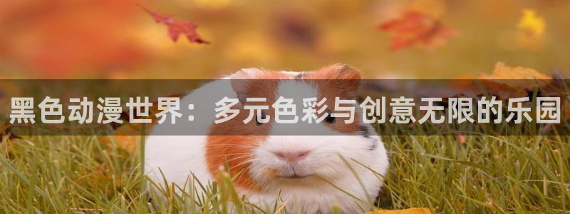 age动漫omofun：黑色动漫世界：多元色彩与创意无限的乐园