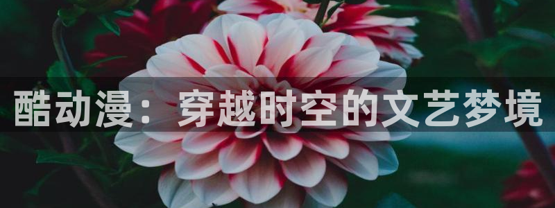 age动漫正版网