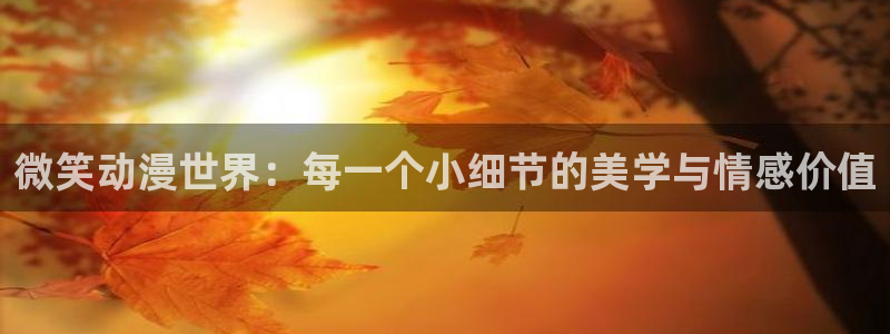 age动漫网：微笑动漫世界：每一个小细节的美学与情感价值