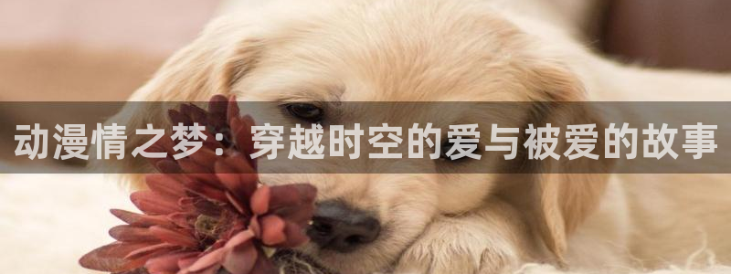 age动漫正版网