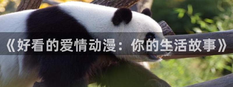 age樱花动漫