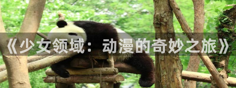 age动漫