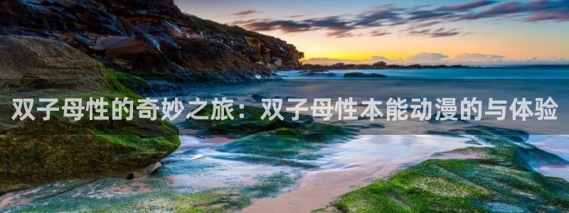 age动漫官网网址