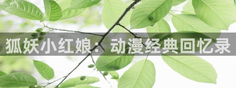 age动漫官网网址