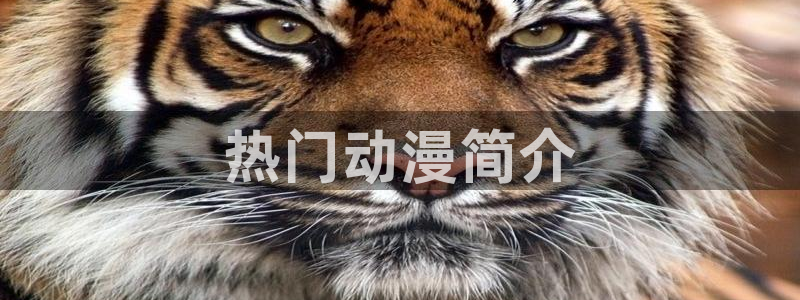 age动漫下载网