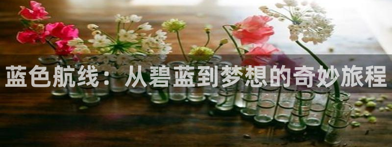 拷贝漫画 copymanager.ory网站