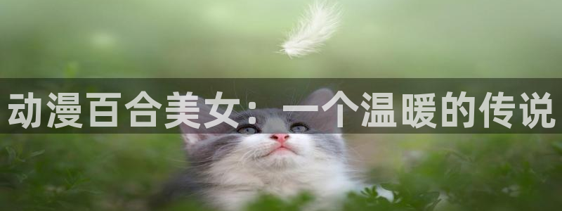 拷贝漫画 copymanager.ory网站