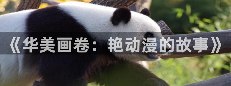 age樱花动漫