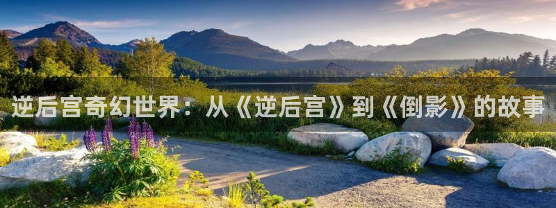 拷贝漫画 copymanager.ory网站