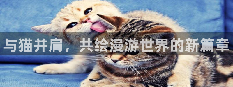 age动漫官网网址