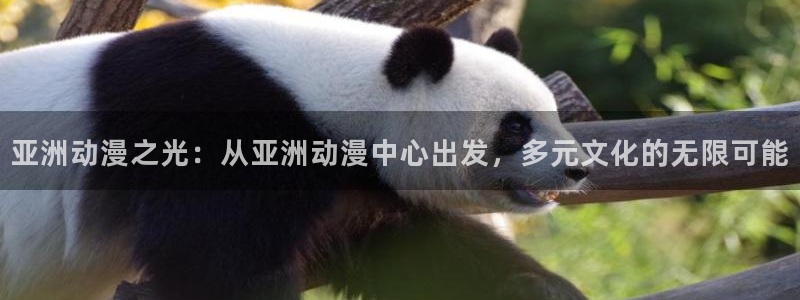kakaopage韩漫官网：亚洲动漫之光：从亚洲动漫中心出发，多元文化的无限可能