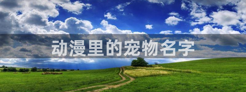 age动漫下载网：动漫里的宠物名字