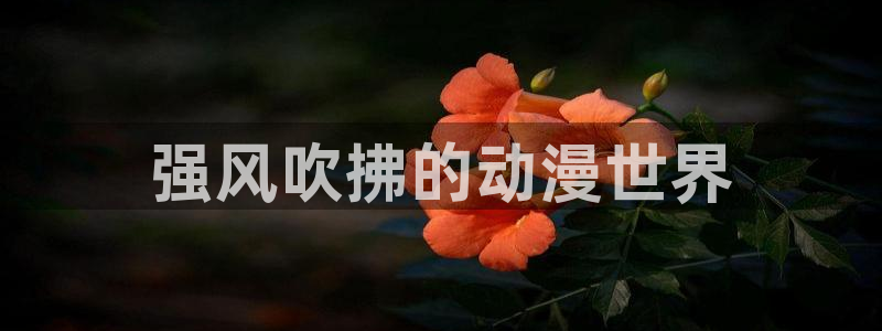 下载age动漫