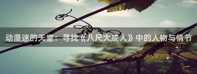 age动漫下载