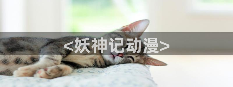 age动漫官网版入口
