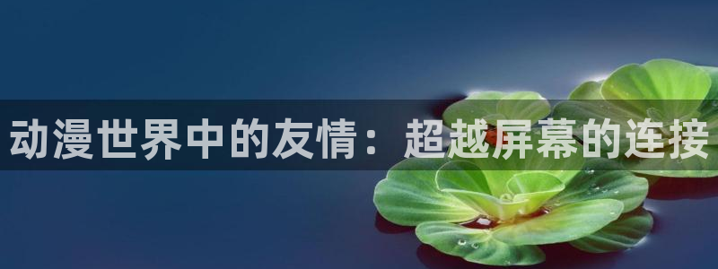 age动漫