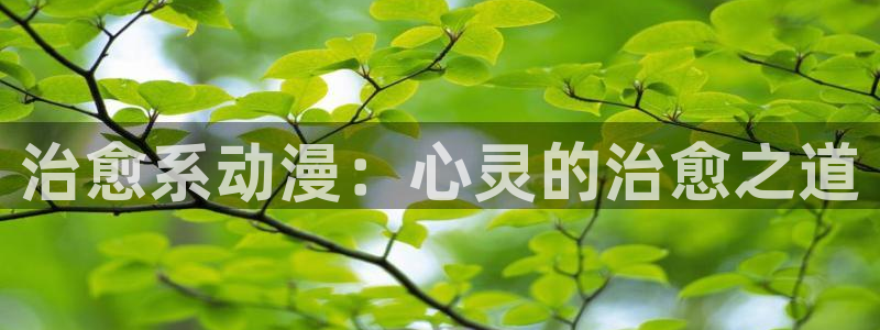 age动漫官网入口老版本