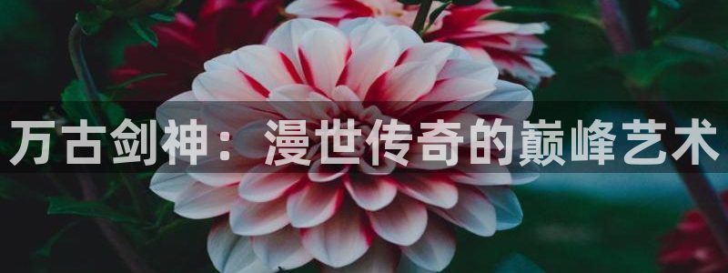 age动漫网官网入口