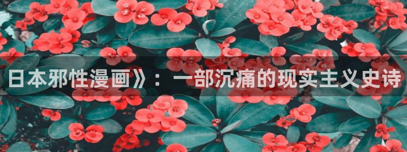 age动漫官网网址：日本邪性漫画》：一部沉痛的现实主义史诗