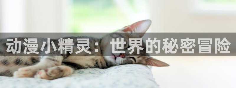 age动漫omofun：动漫小精灵：世界的秘密冒险